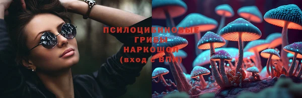 СК Аркадак