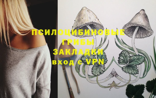 гашик Армянск