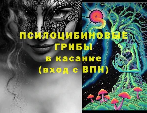 гашик Армянск